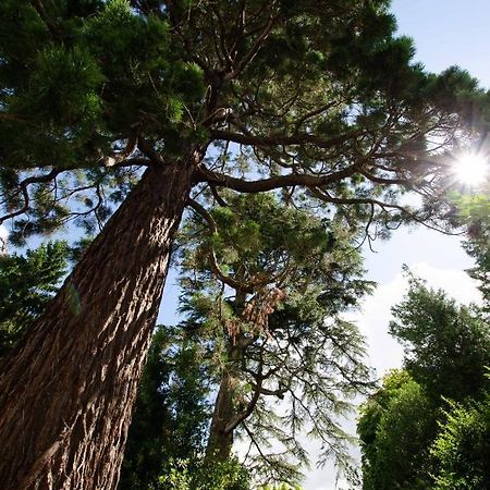 Gite Sequoia Centre Historique Байе Экстерьер фото